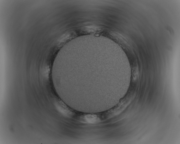 X0000112530279200909281045