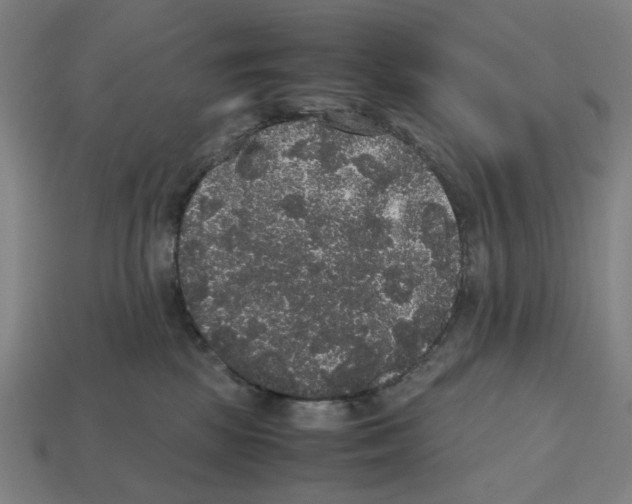 X0000112530281200909281045