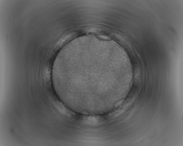 X0000112530282200909281045