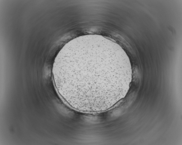 X0000112530284200909281045