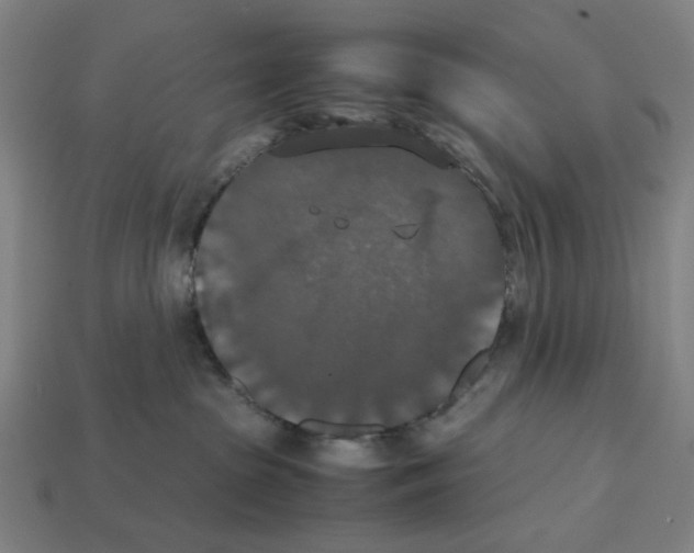 X0000112530285200909281045