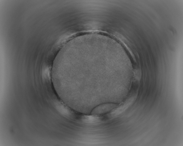 X0000112530286200909281045