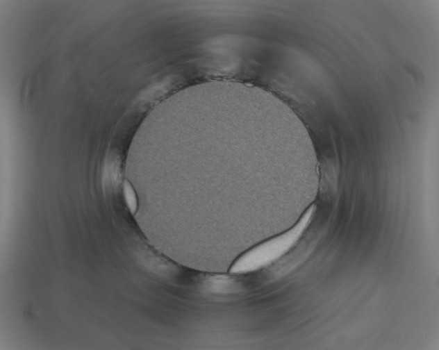 X0000112530287200909281045