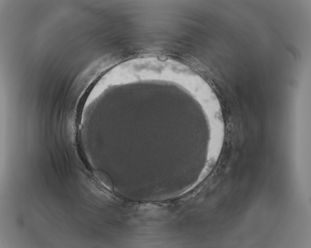 X0000112530290200909281044