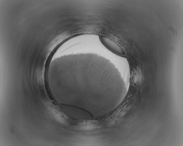 X0000112530292200909281044