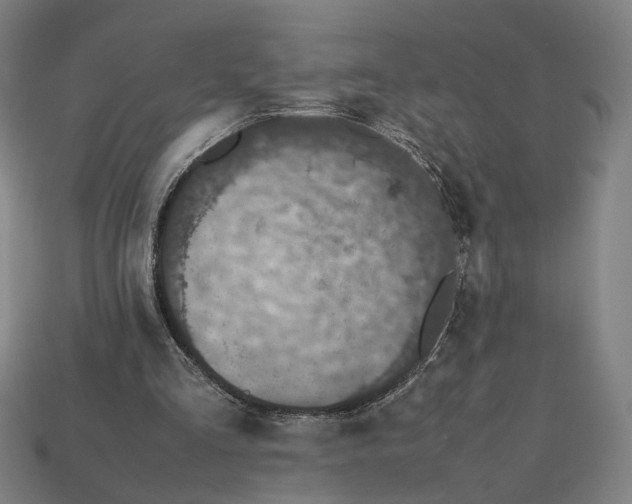 X0000112530293200909281044