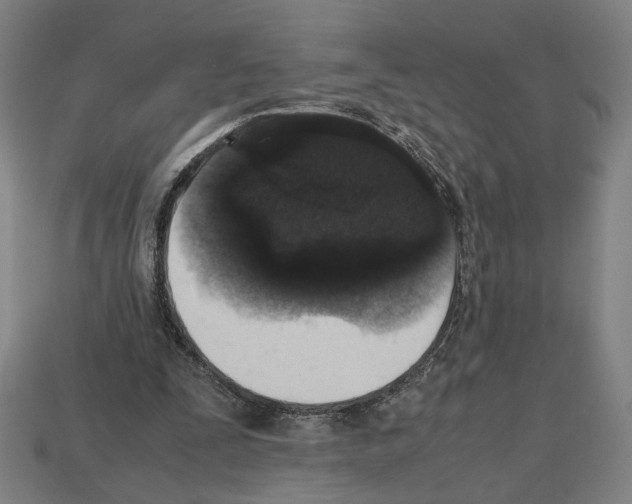 X0000112530295200909281044