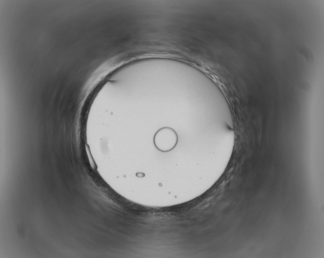 X0000112530296200909281044