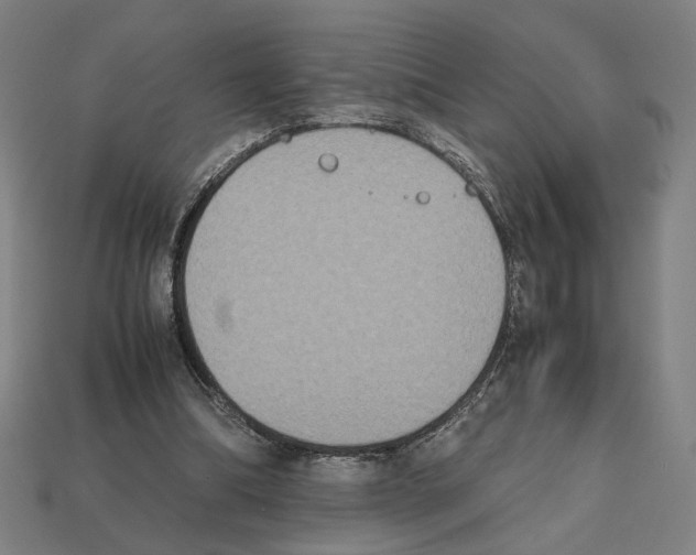 X0000112530298200909281044