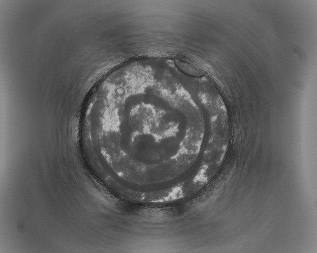 X0000112530299200909281044