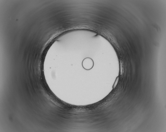 X0000112530300200909281044