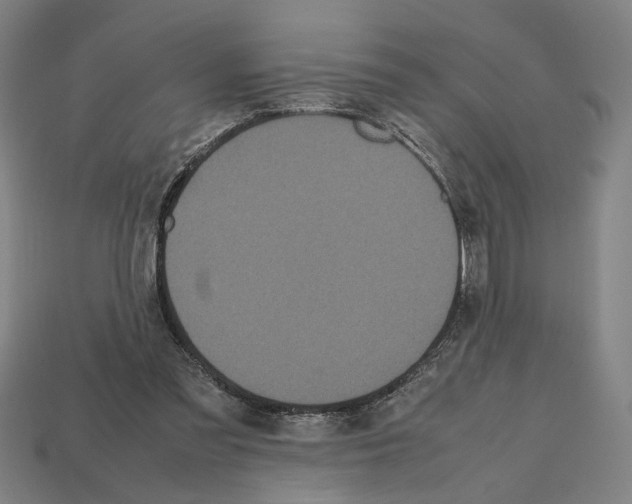 X0000112530301200909281044