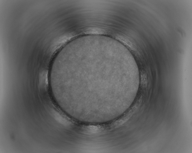 X0000112530302200909281044