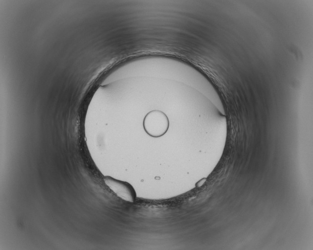 X0000112530304200909281044