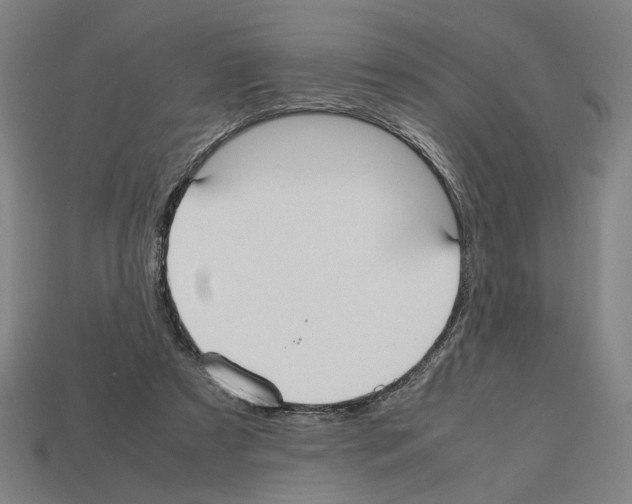 X0000112530305200909281044