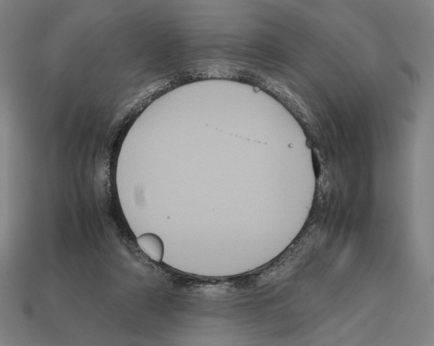 X0000112530306200909281044