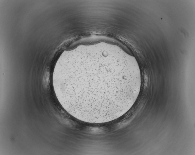 X0000112530308200909281044