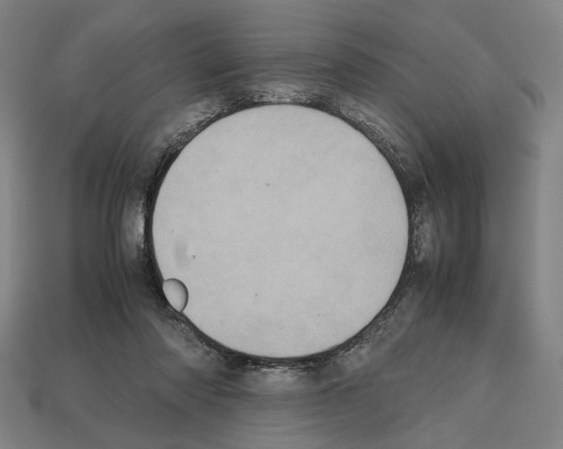 X0000112530310200909281044