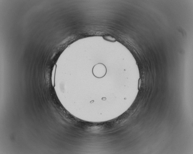 X0000112530312200909281044