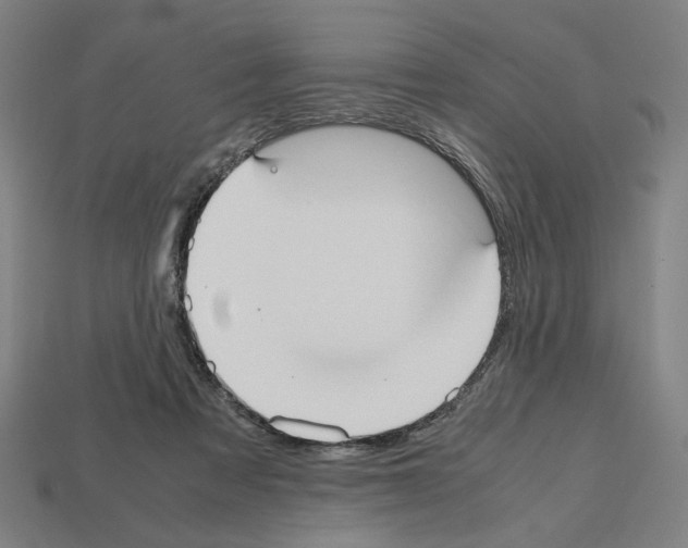 X0000112530313200909281044