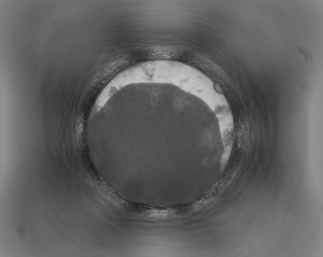 X0000112530314200909281044