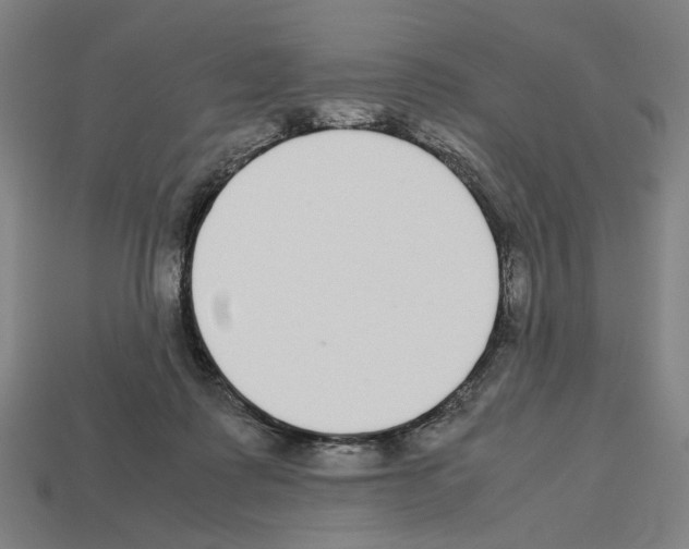 X0000112530315200909281044