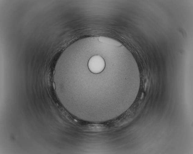 X0000112530316200909281044