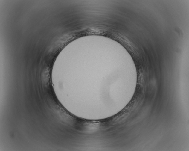 X0000112530318200909281044