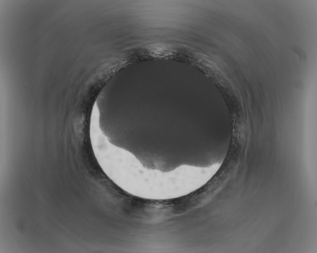 X0000112530319200909281044