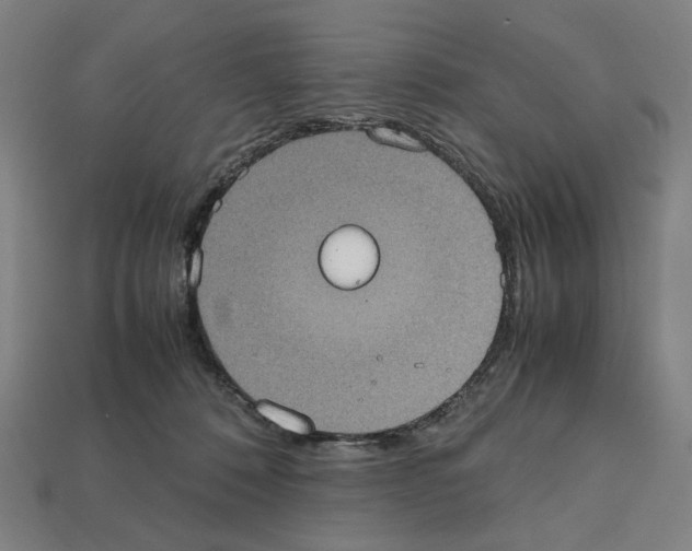 X0000112530320200909281044