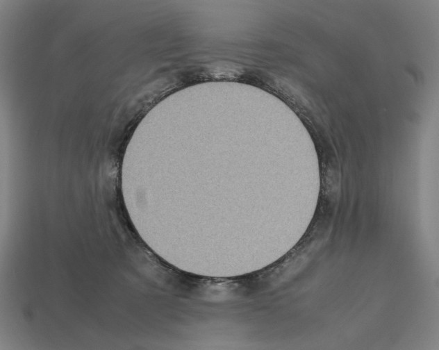 X0000112530321200909281044