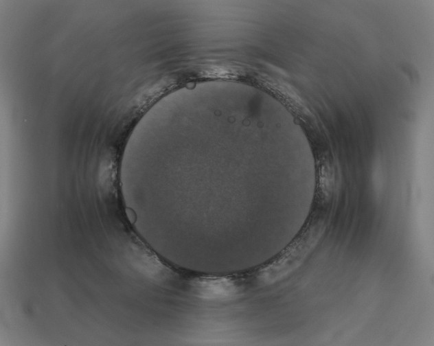 X0000112530322200909281044