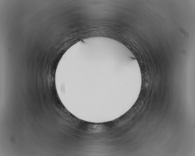 X0000112530324200909281044