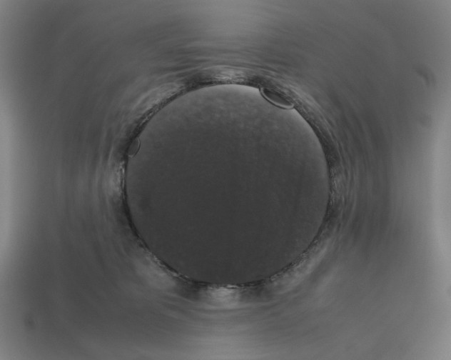 X0000112530325200909281044