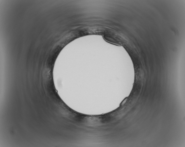 X0000112530327200909281044