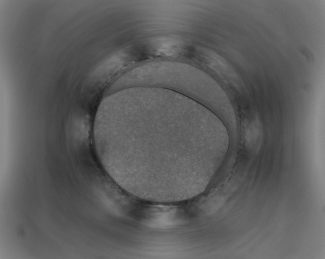 X0000112530328200909281044