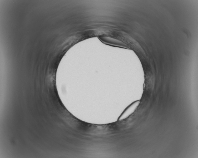 X0000112530329200909281044