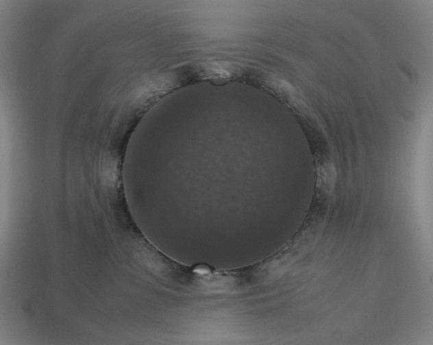 X0000112530331200909281044