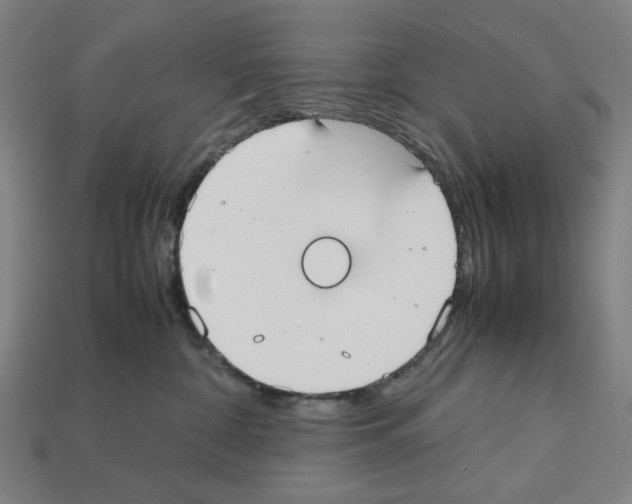 X0000112530332200909281044