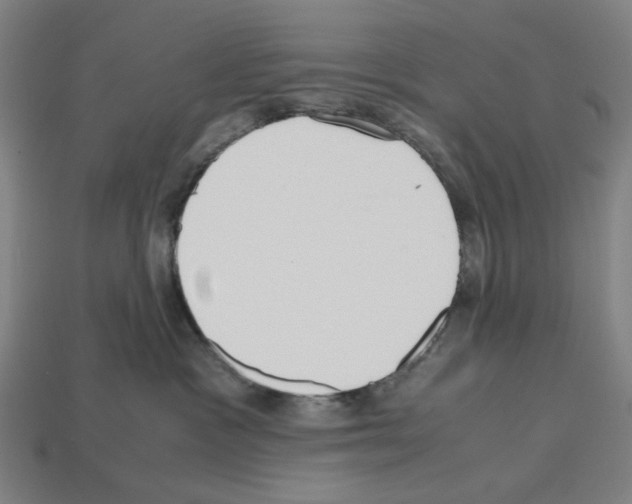 X0000112530333200909281044