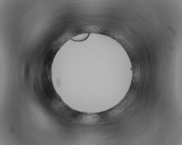 X0000112530334200909281044