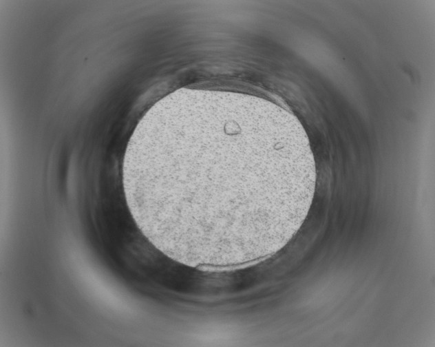 X0000112530335200909281044