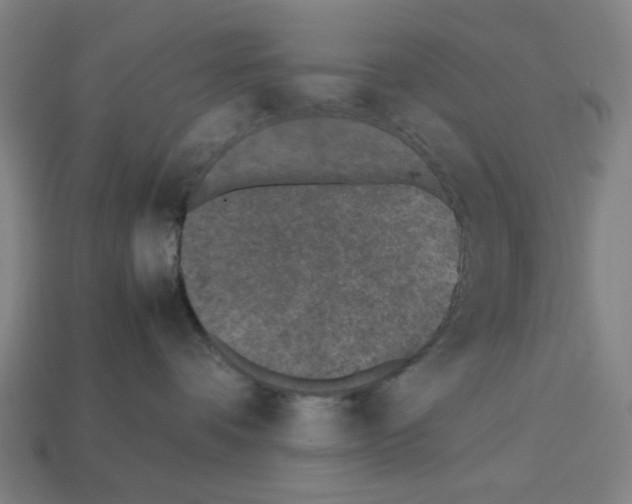 X0000112530336200909281044