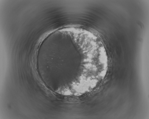 X0000112530337200909281043