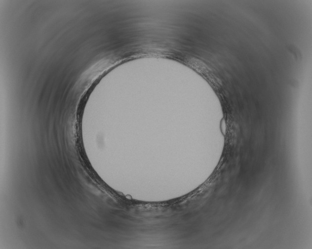 X0000112530338200909281043