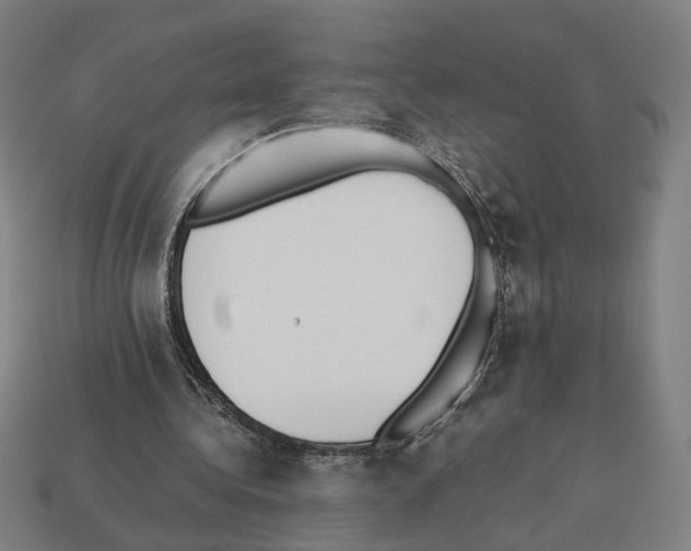 X0000112530340200909281043