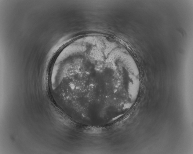 X0000112530343200909281043