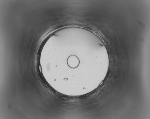 X0000112530344200909281043