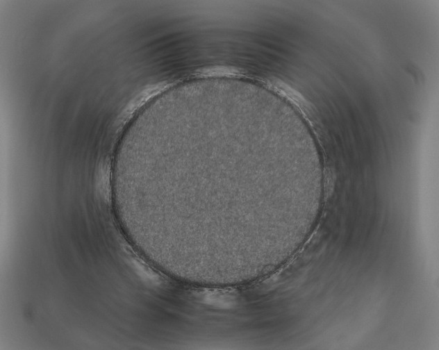 X0000112530345200909281043