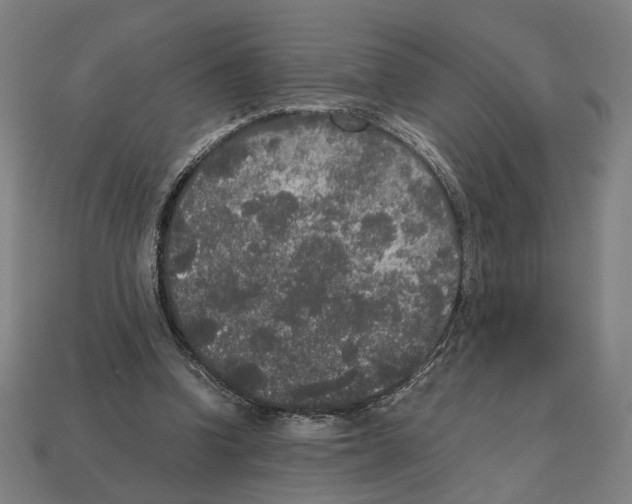 X0000112530346200909281043